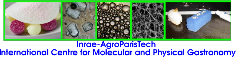 The international activities of the Inrae-AgroParisTech International Centre for Molecular and Physical Gastronomy