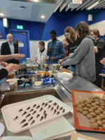 red4718.jpg red4718.jpg