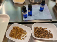 red 4716.jpg red 4716.jpg